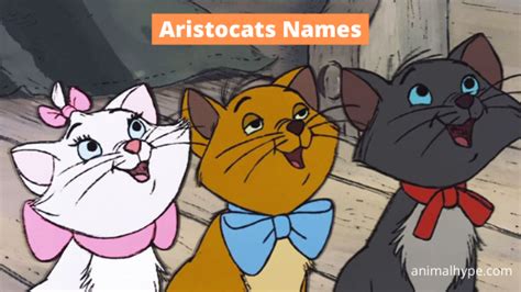 list of aristocats names